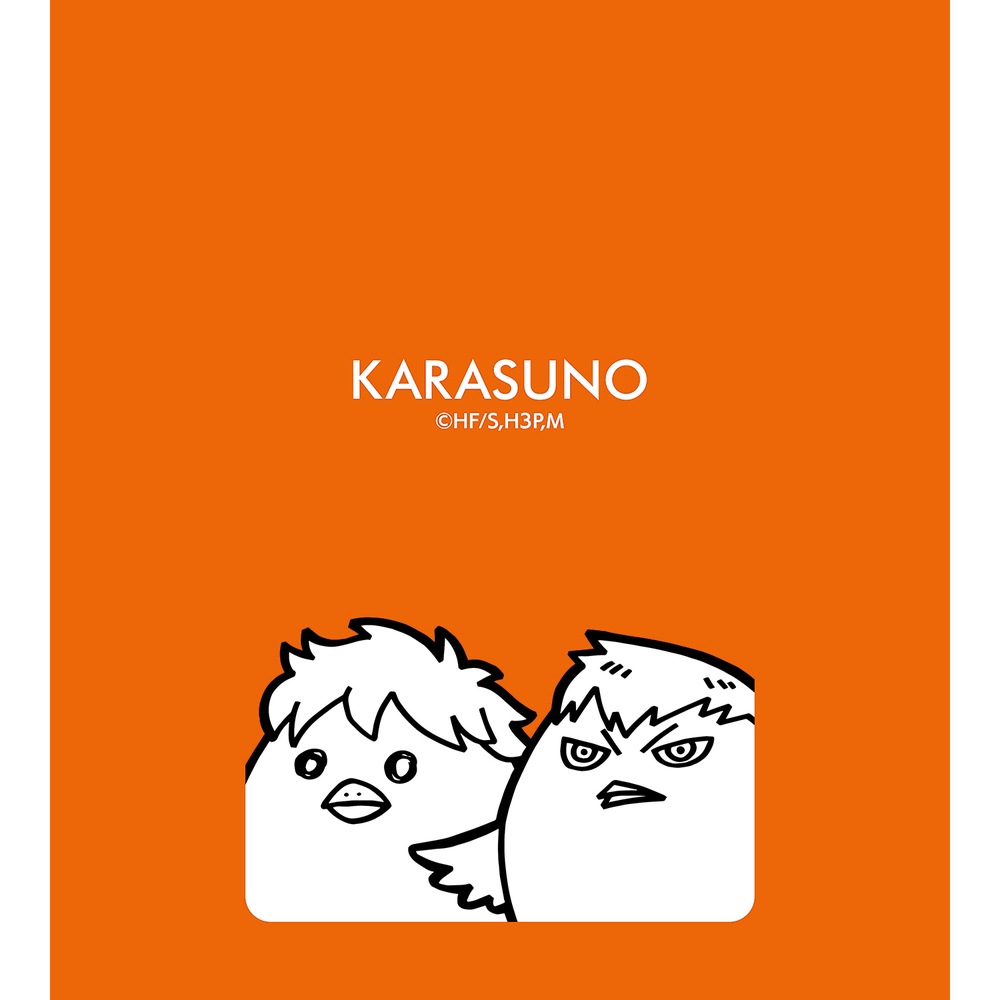 Haikyu Hinagarasu Kagegarasu Acrylic Pass Case ハイキュー ヒナガラス カゲガラス アクリルパスケース Anime Goods Card Phone Accessories