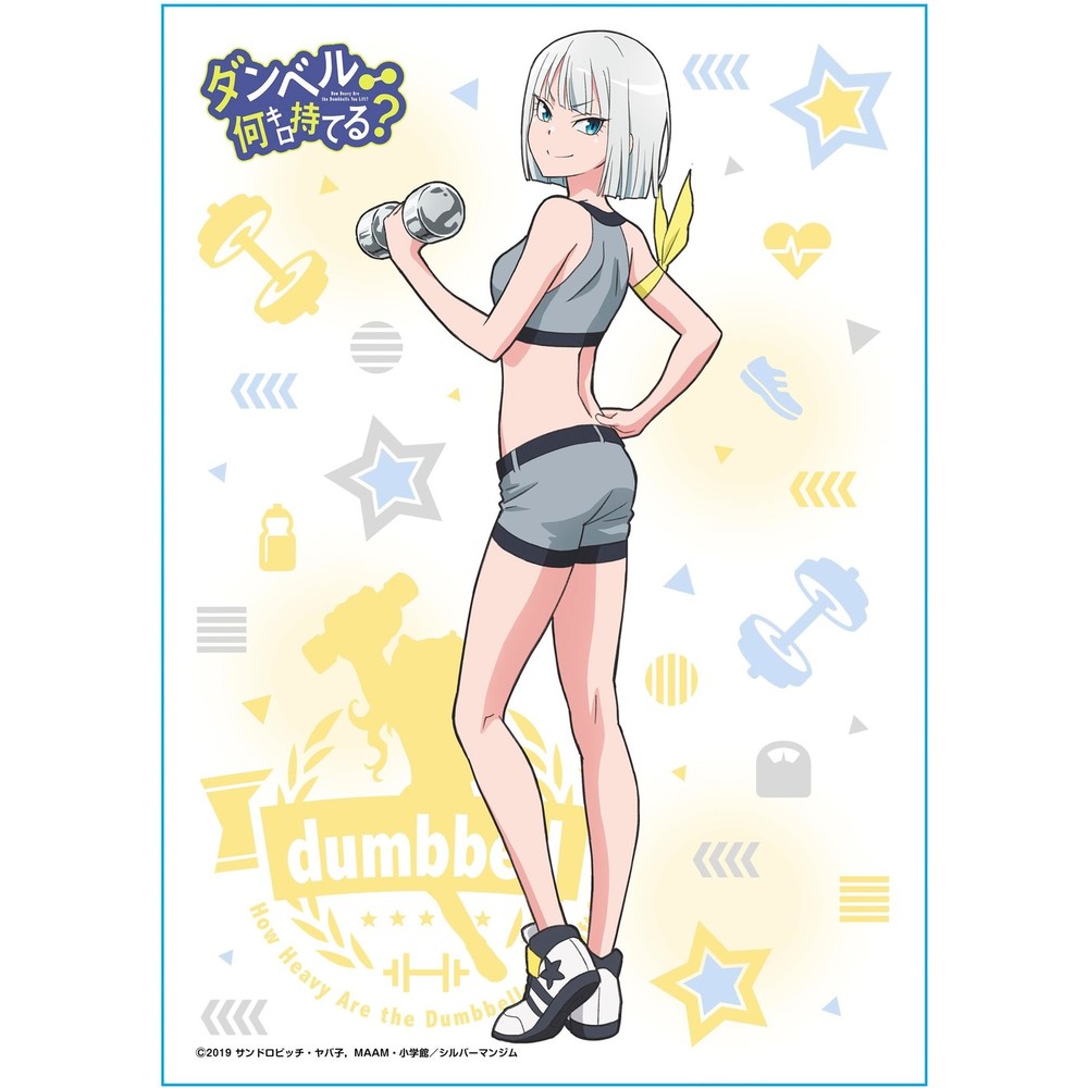 How Heavy Are The Dumbbells You Lift Multi Cloth 3 Gina Boyd ダンベル何キロ持てる マルチクロス 3 ジーナ ボイド Anime Goods Commodity Goods Groceries