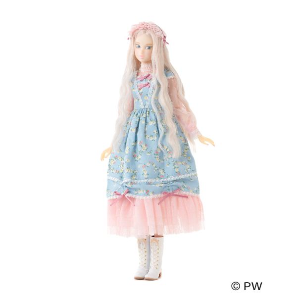 最も CCS 22AN momoko ドール - sindicatoparademinas.com.br