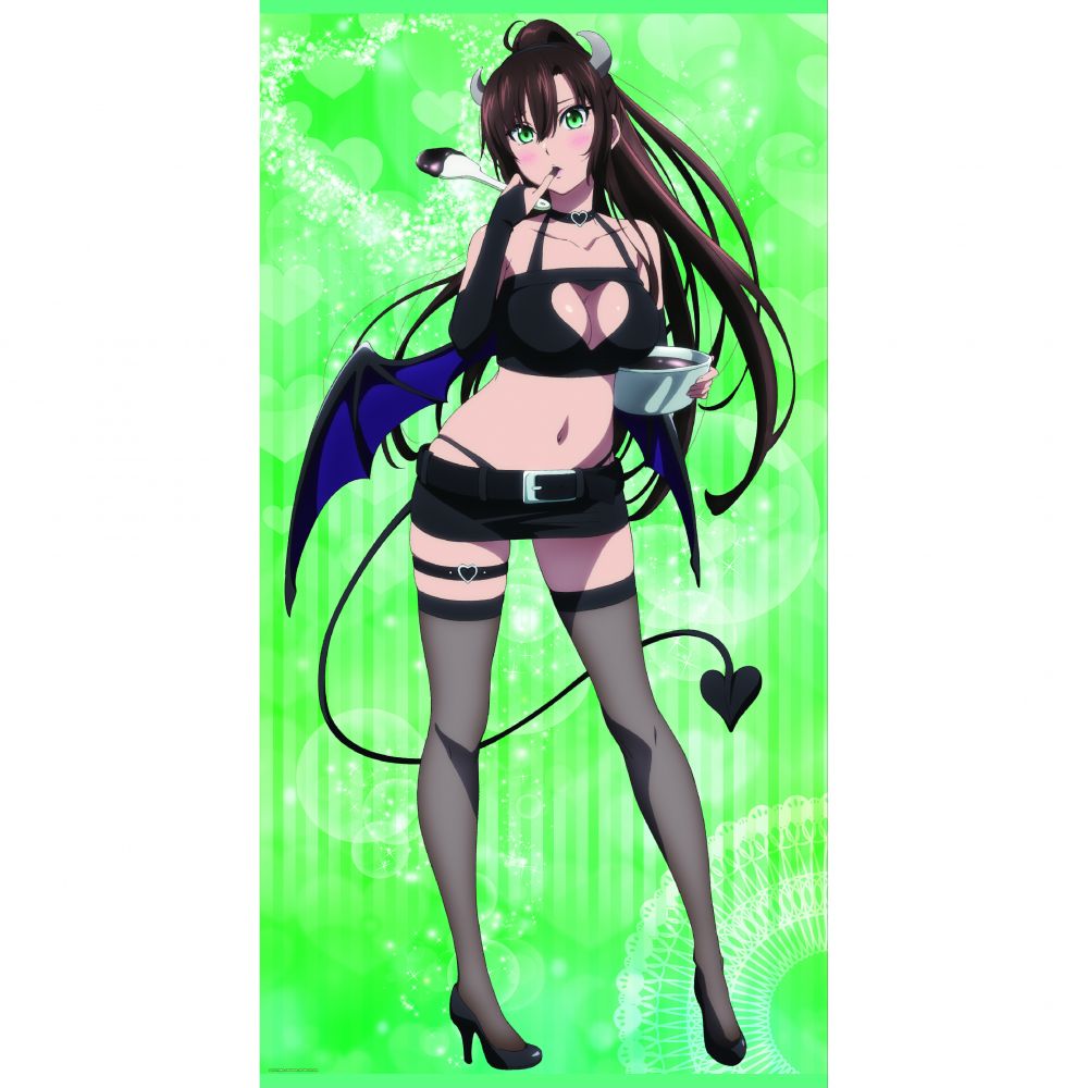 Strike the Blood FINAL Original Illustration Life-size Tapestry [Little  Devil ver.] ③ Sayaka Kirasaka | ストライク・ザ・ブラッド FINAL 描き下ろし等身大タペストリー【小悪魔ver.】③ 煌坂紗矢華 | Anime Goods | Illustrations | 4570188467781