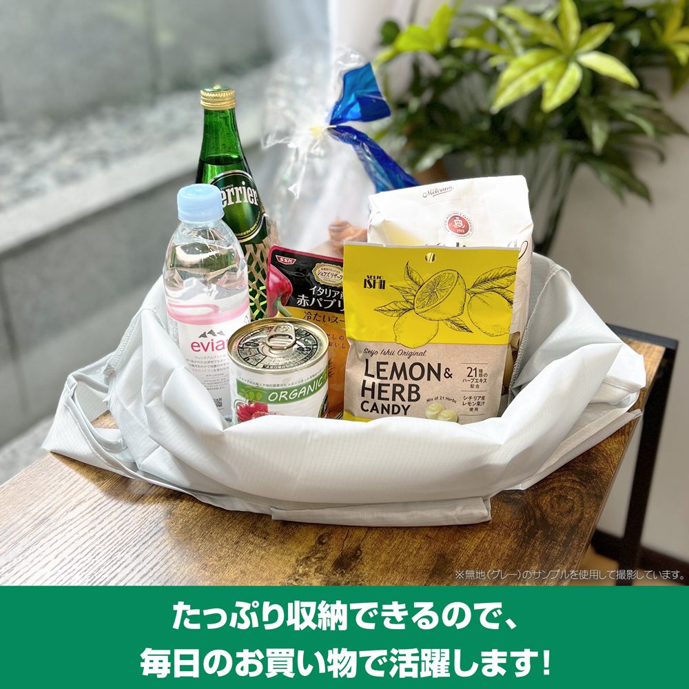 Dragon Ball Z Kamesenryu Eco Bag 亀仙流 エコバッグ COSPA Bag / Badge