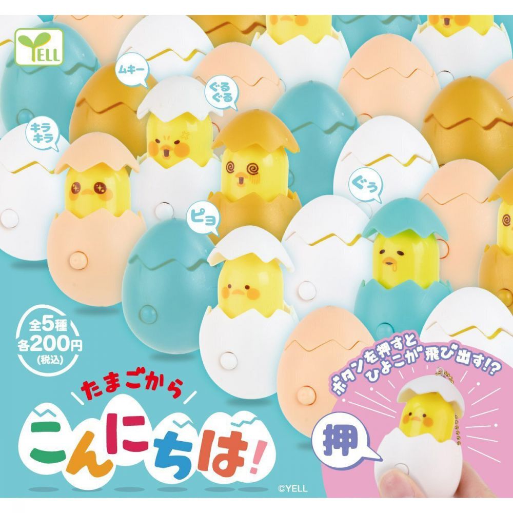 Hello from the Egg! (SET OF 5 PIECES)