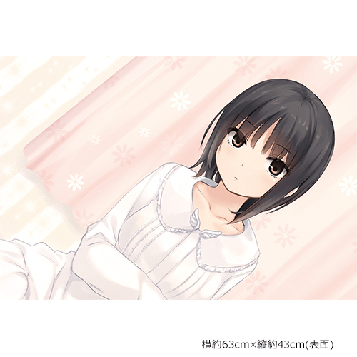 Coffee Kizoku Original Illustration Pillow Cover Aoyama Sumika Shiramine Rika 珈琲貴族先生 描き下ろしまくらカバー 青山澄香 白峰莉花 Anime Goods Commodity Goods Groceries Coffee Kizoku Original Illustration Pillow Cover Aoyama Sumika Shiramine Rika 珈琲貴族先生 描き下ろしまくらカバー 青山澄香 白峰莉花 Anime Goods Commodity Goods Groceries
