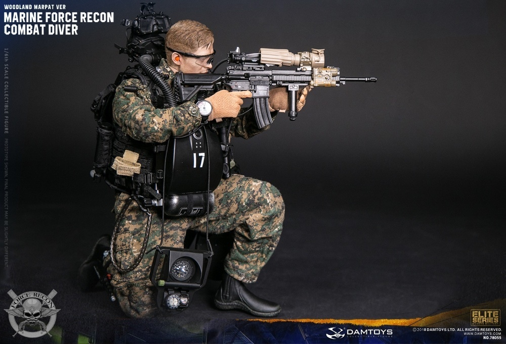 DAMTOYS 1/6 Marine Force Recon Combat Diver Woodland Marpat Ver