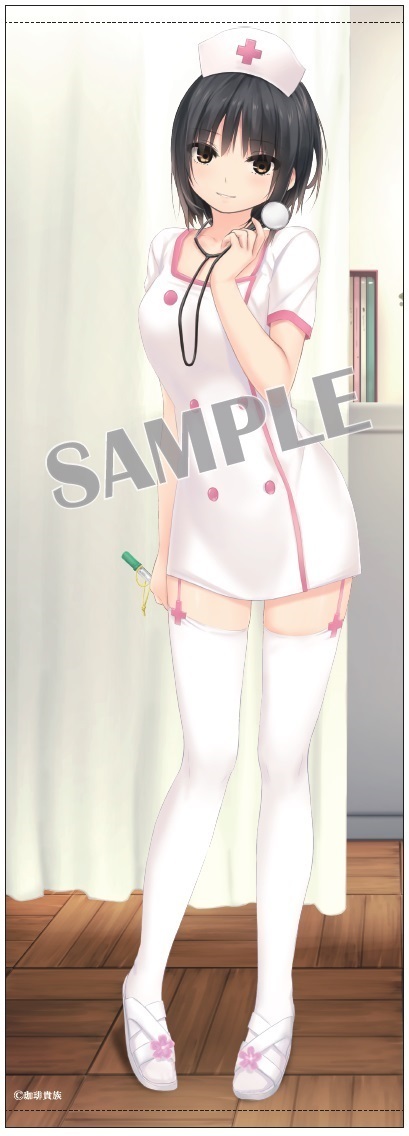 Coffee Kizoku Long Tapestry Aoyama Sumika Nurse Ver 珈琲貴族 ロングタペストリー 青山澄香 ナースver Anime Goods Illustrations