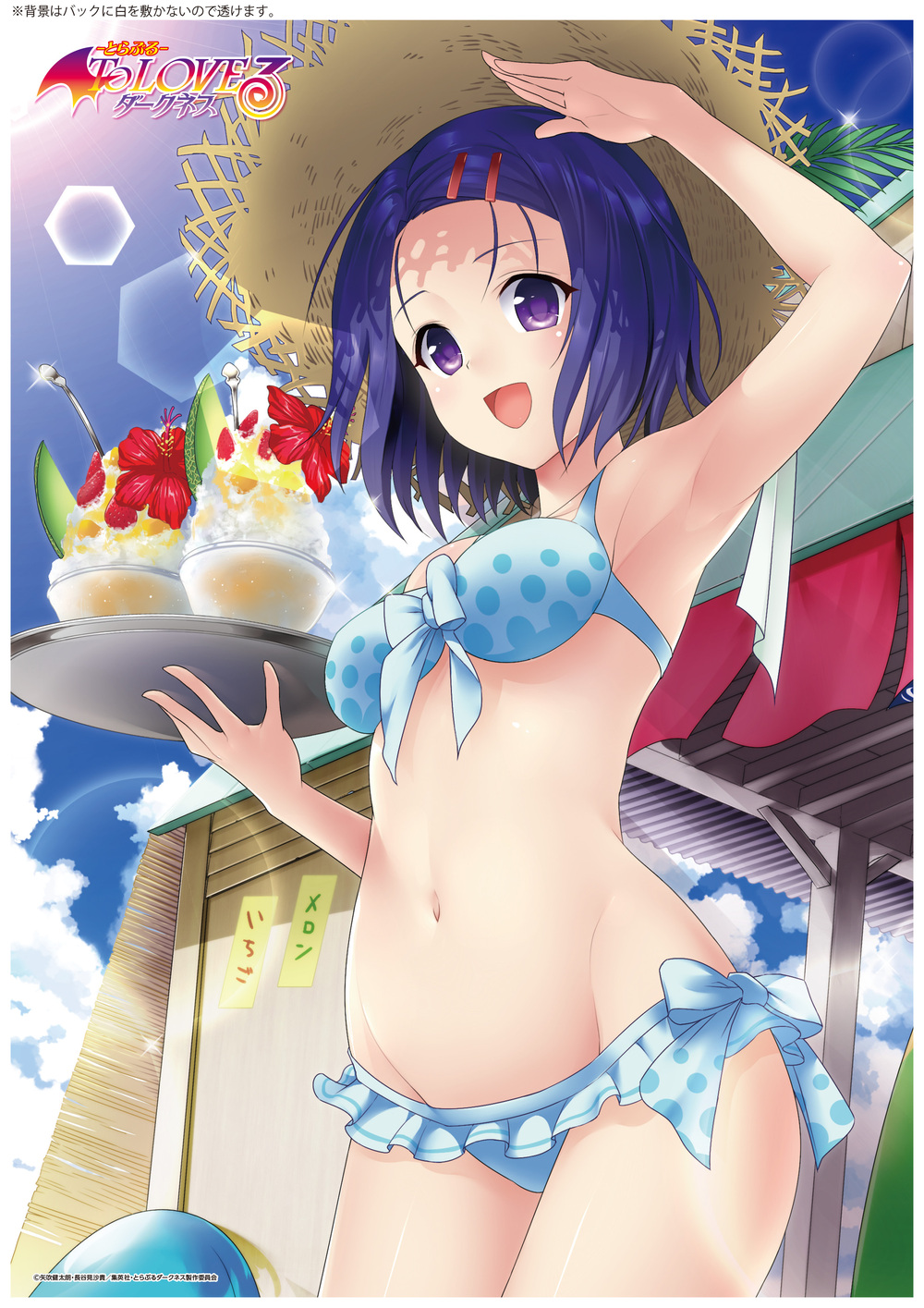 To Love Ru Darkness A3 Clear Poster Haruna Beach House Ver To Loveる とらぶる ダークネス A3クリアポスター 春菜 海の家ver Anime Goods Illustrations